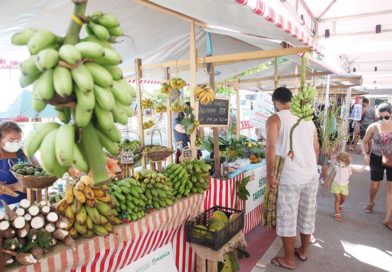 Feira agroecológica movimenta Araçatiba com alimentos frescos e produtos locais