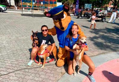 Evento “Social Pet” oferece serviços gratuitos para cães e gatos em São Pedro da Aldeia